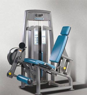 Triumph Series Leg Extension