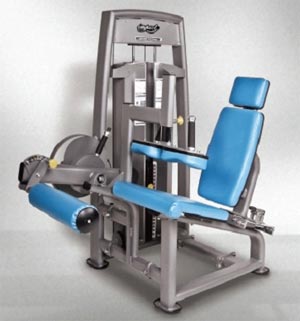 Triumph Series Seated Leg Curl