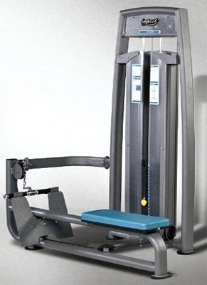 Triumph Series Low Row