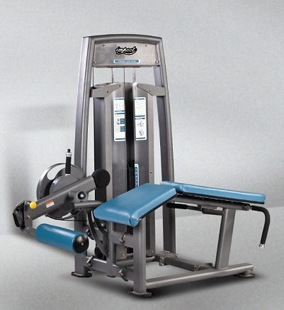 Triumph Series TH9921A Prone Leg Curl